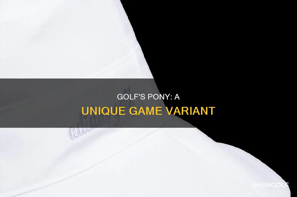 what is pony golf