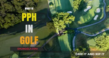 Understanding PPH: Golf's Secret Metric