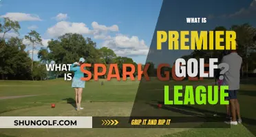 The Premier Golf League: A New Era