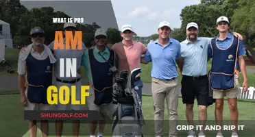 Golf's Pro-Am: Pros and Amateurs Unite!