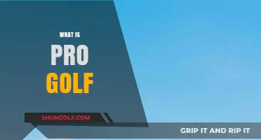 Golfing Pros: What Makes Them So Good?