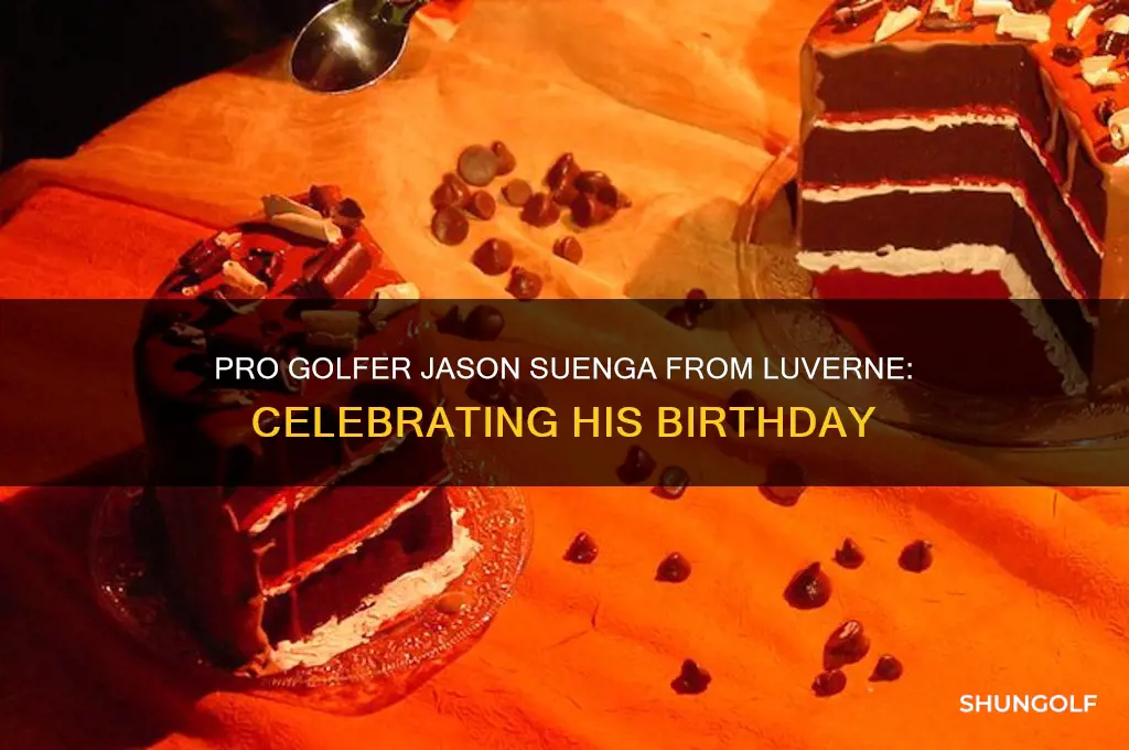 what is pro golfer from luverne jason suenga bithday