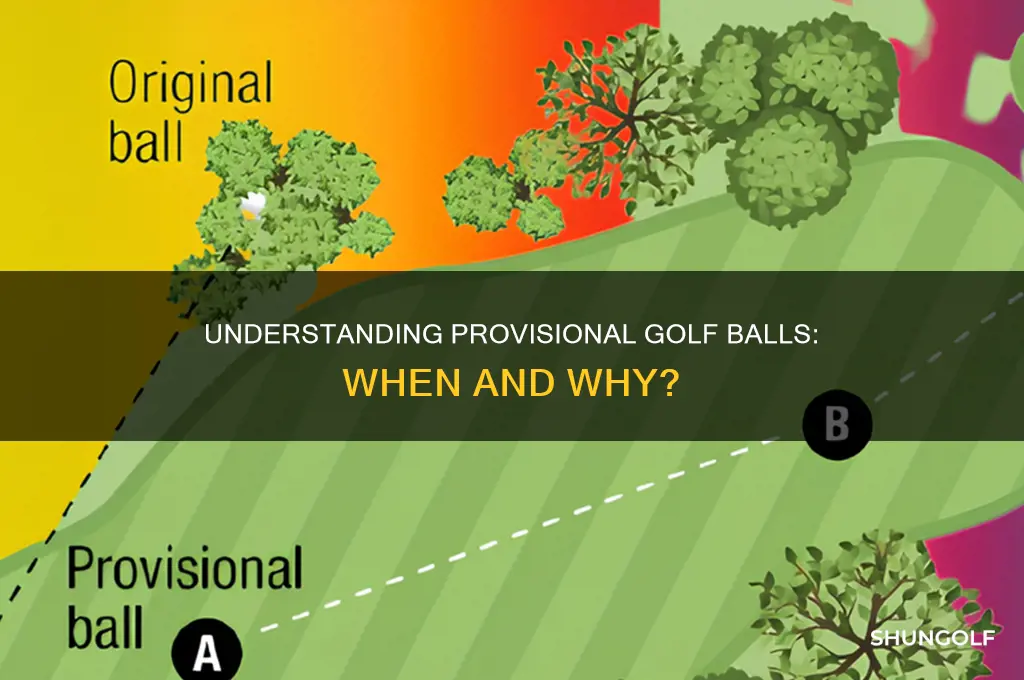 what is provisional in golf