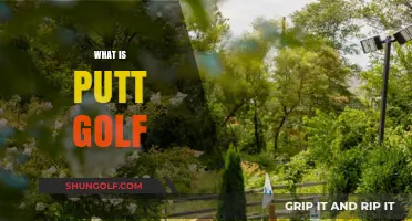 Golf's Little Game: Putt-Putt Perfection