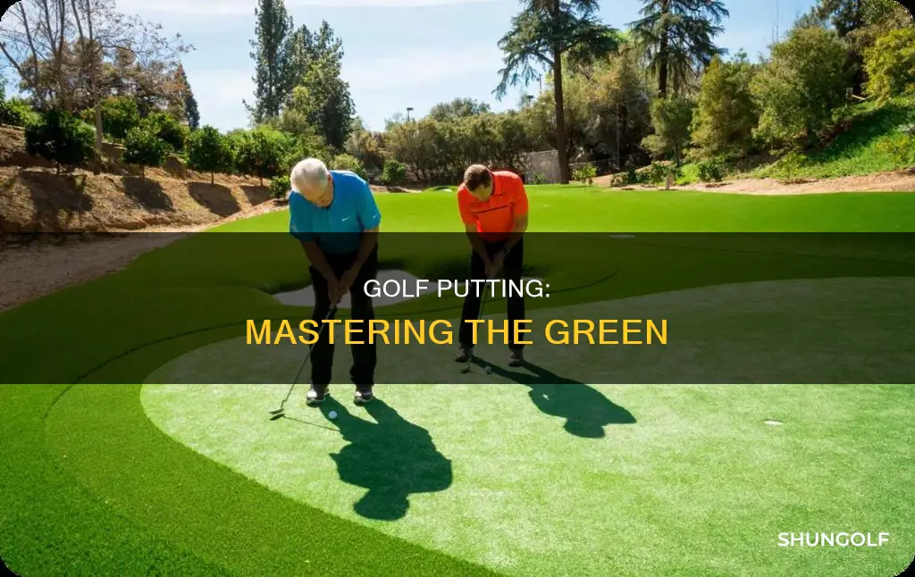 what is putt in golf