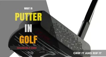 Golf Putters: Master the Green with Precision