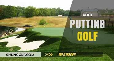 Golf Putting: Mastering the Art of the Green