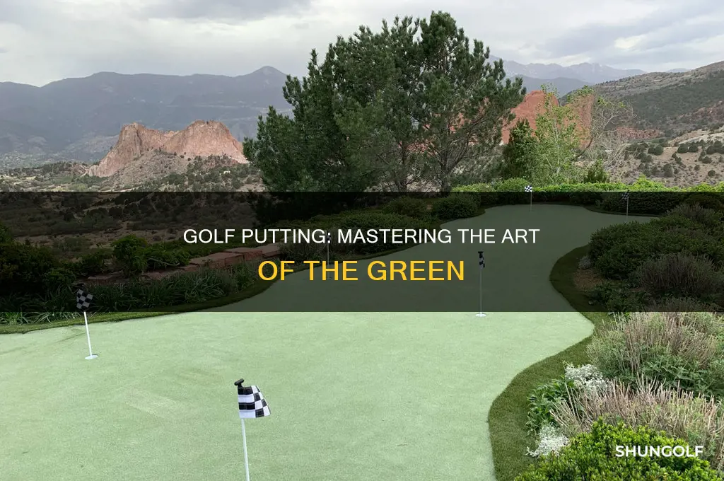 what is putting golf