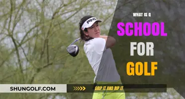 Golf's Q-School: Pathway to Professionalism