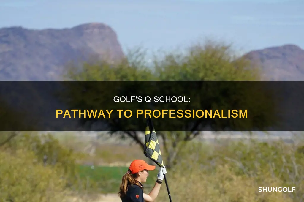 what is q school for golf