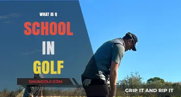 Golf's Q-School: Path to Professionalism