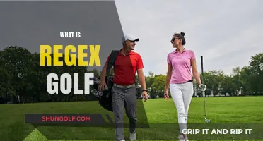 Mastering Regex Golf: An Art of Code Efficiency