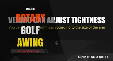 Golfers' Best Friend: Rotary Golf Swing