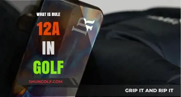 Understanding the Lost Ball Rule in Golf