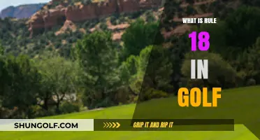Golf Rule 18: Playing a Ball From Wrong Place