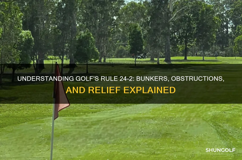 what is rule 24-2 in golf