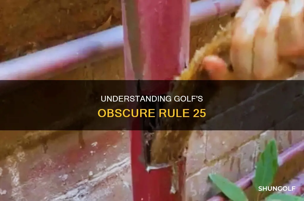 what is rule 25 in golf