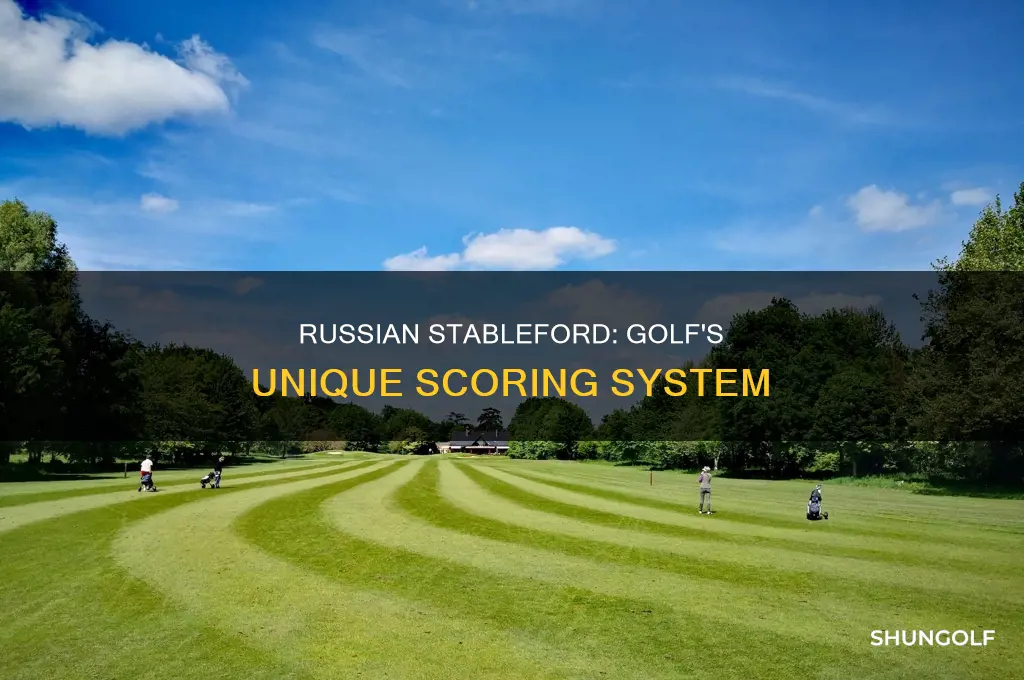 what is russian stableford in golf