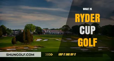 Ryder Cup Golf: Team Competition, Prestige, and History