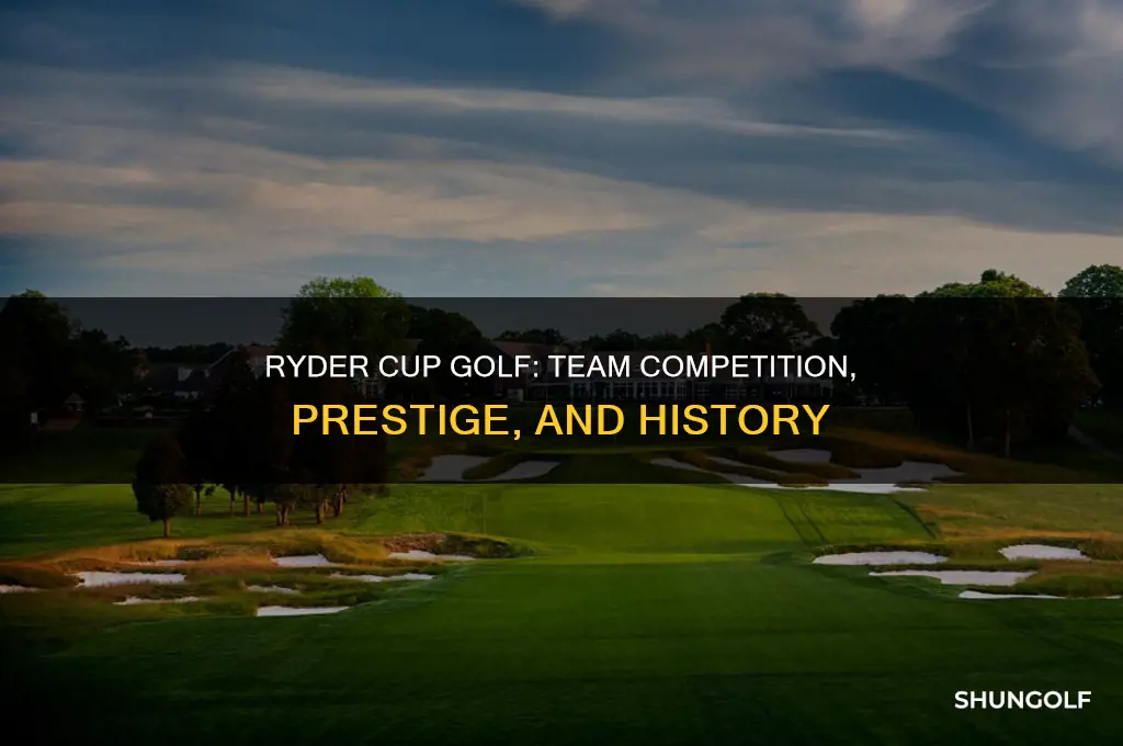 what is ryder cup golf