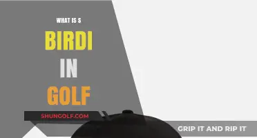 Golf Birdies: What Are They?
