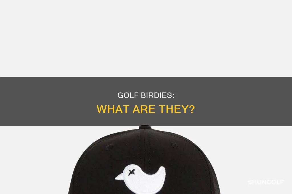 what is s birdi in golf