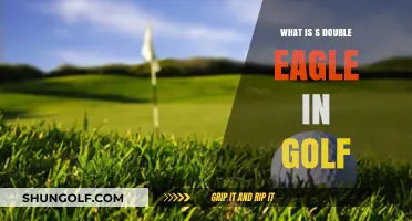 Understanding the Double Eagle: Golf's Rare and Exciting Scoring Feat