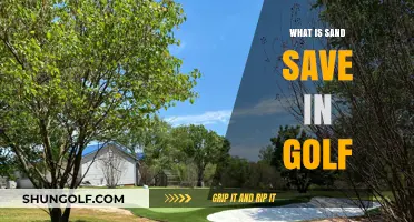 Sand Saves: How to Escape Golf's Tricky Bunkers