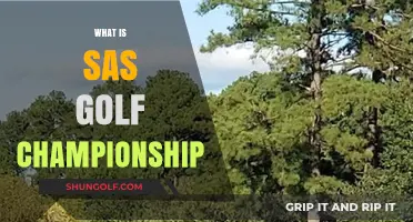Golf's SAS Championship: Senior Tour's Premier Event