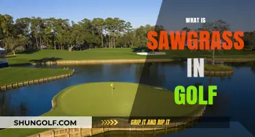Sawgrass: Golf's Unique Challenge