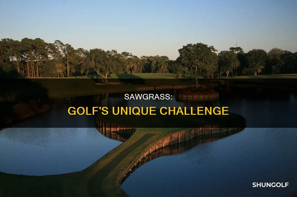 what is sawgrass in golf