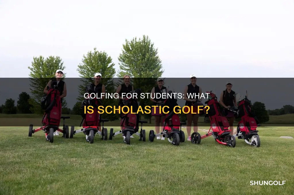 what is scholastic golf