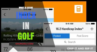 Golf's Score Index: Understanding Your Handicap