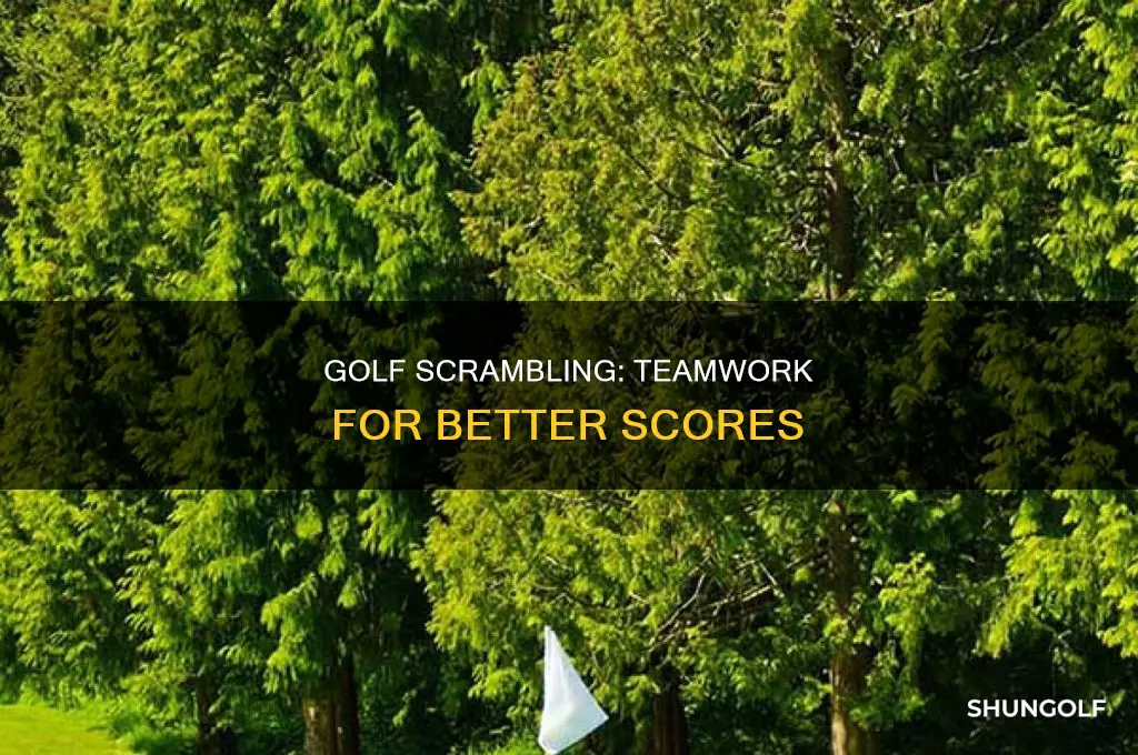 what is scrambling golf