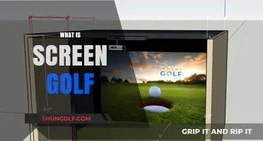 Golf's Digital Evolution: Screen Golf Explained