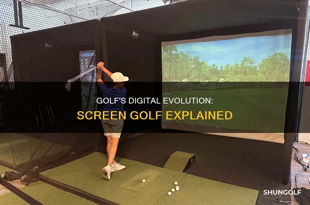what is screen golf