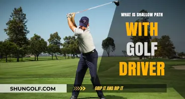 Mastering the Tee Box: Unleashing Power with Your Golf Driver