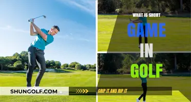 Mastering the Short Game: Essential Skills for Golf Success