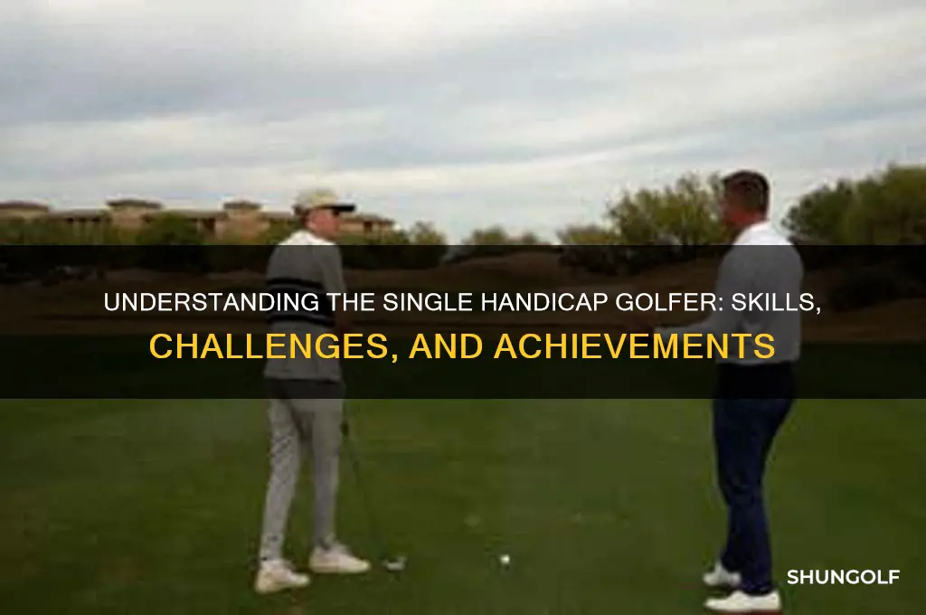 what is single handicap golfer