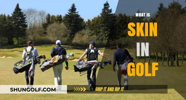 Golf's Skin: What's at Stake?