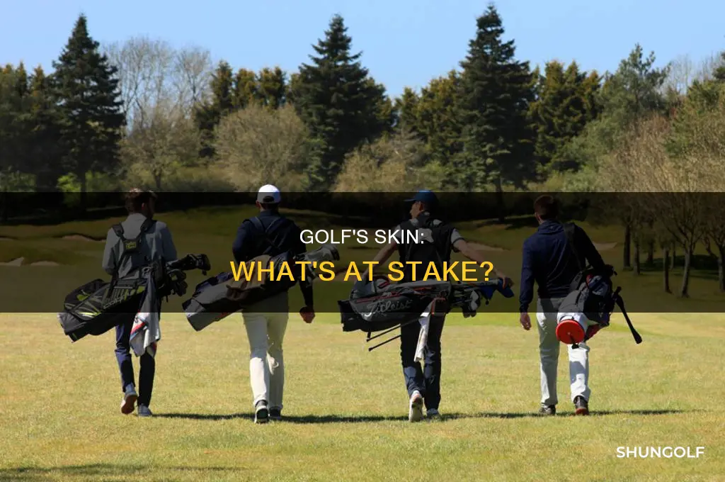 what is skin in golf