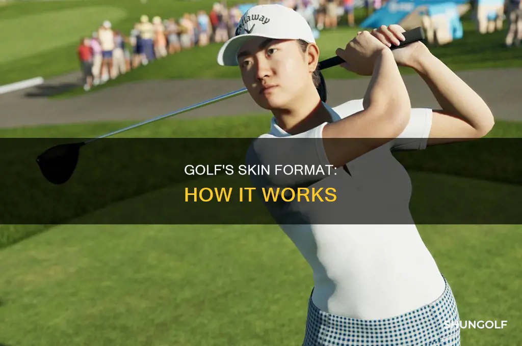 what is skins format in golf