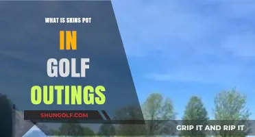 Understanding Skins Pot: A Fun Golf Outing Betting Game Explained