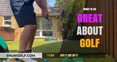 Golf: A Sport for Life and Leisure