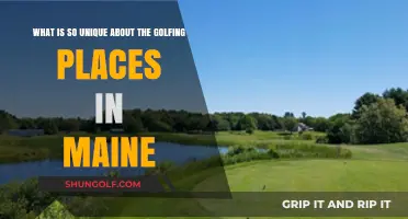 Maine's Golfing Gems: Uncovering the Unique Charm of Its Courses