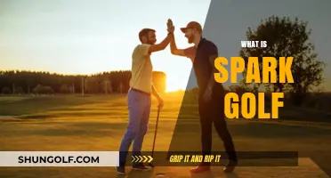Golf's Fun, Speedy New Format: Spark Golf