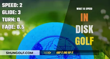 Speed in Disc Golf: Understanding Flight and Velocity