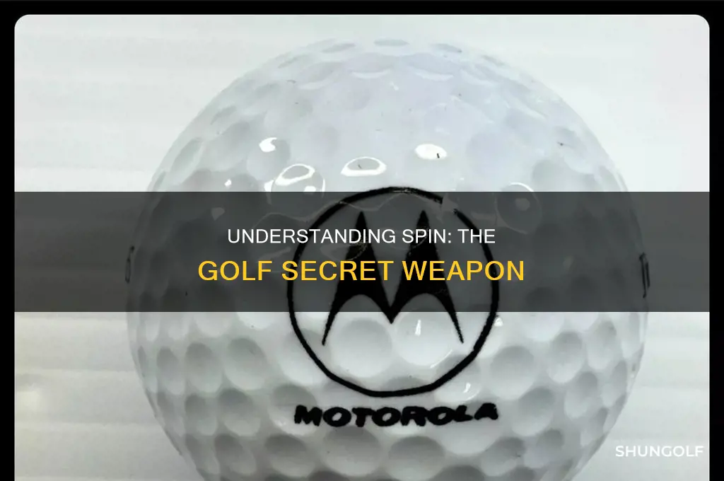 what is spin in golf