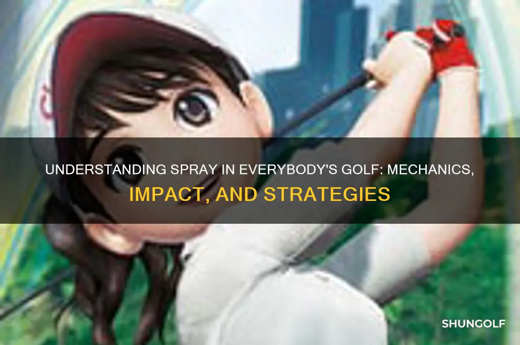 what is spray in everybody