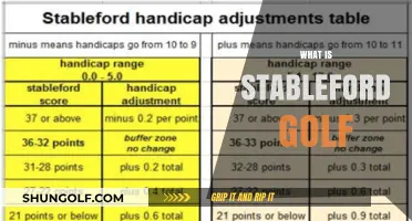 Understanding Stableford Golf: How It Works